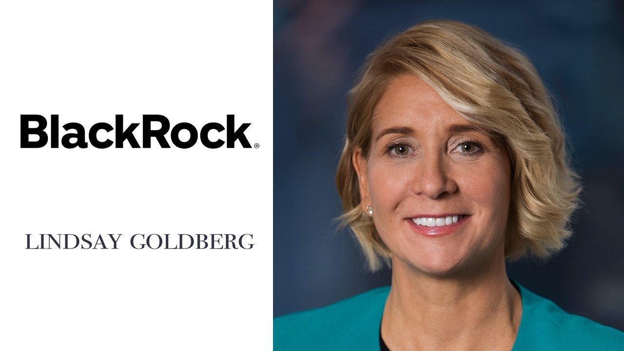 Industry veteran Ellsworth leaves BlackRock to join Lindsay Goldberg