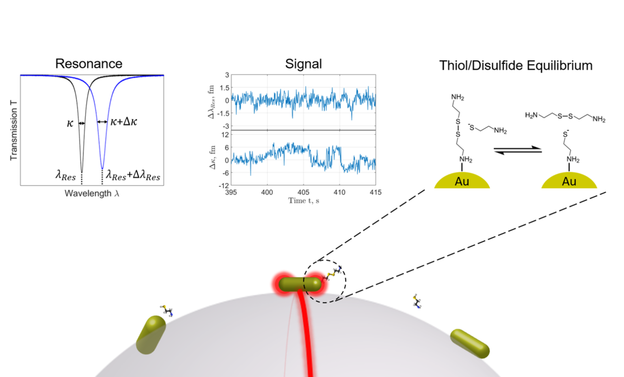 How to record single molecules on a loop.