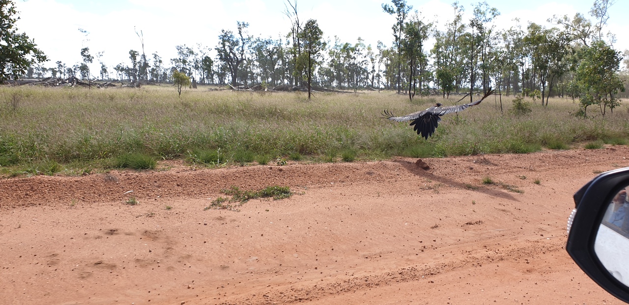 Science sidelined in approval of Australia’s largest coal mine