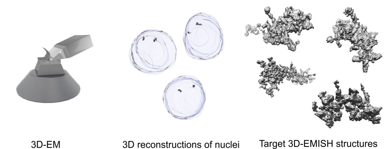 3D-EMISH: Imaging chromatin beyond light superresolution microscopy