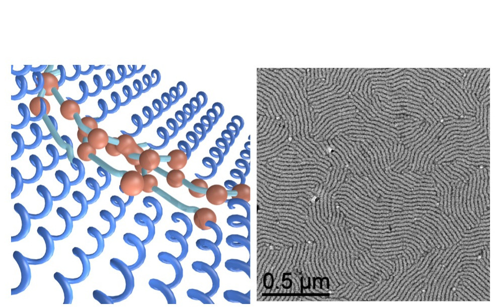 Nanoparticles and polypeptides: Beneficial coupling for innovative materials
