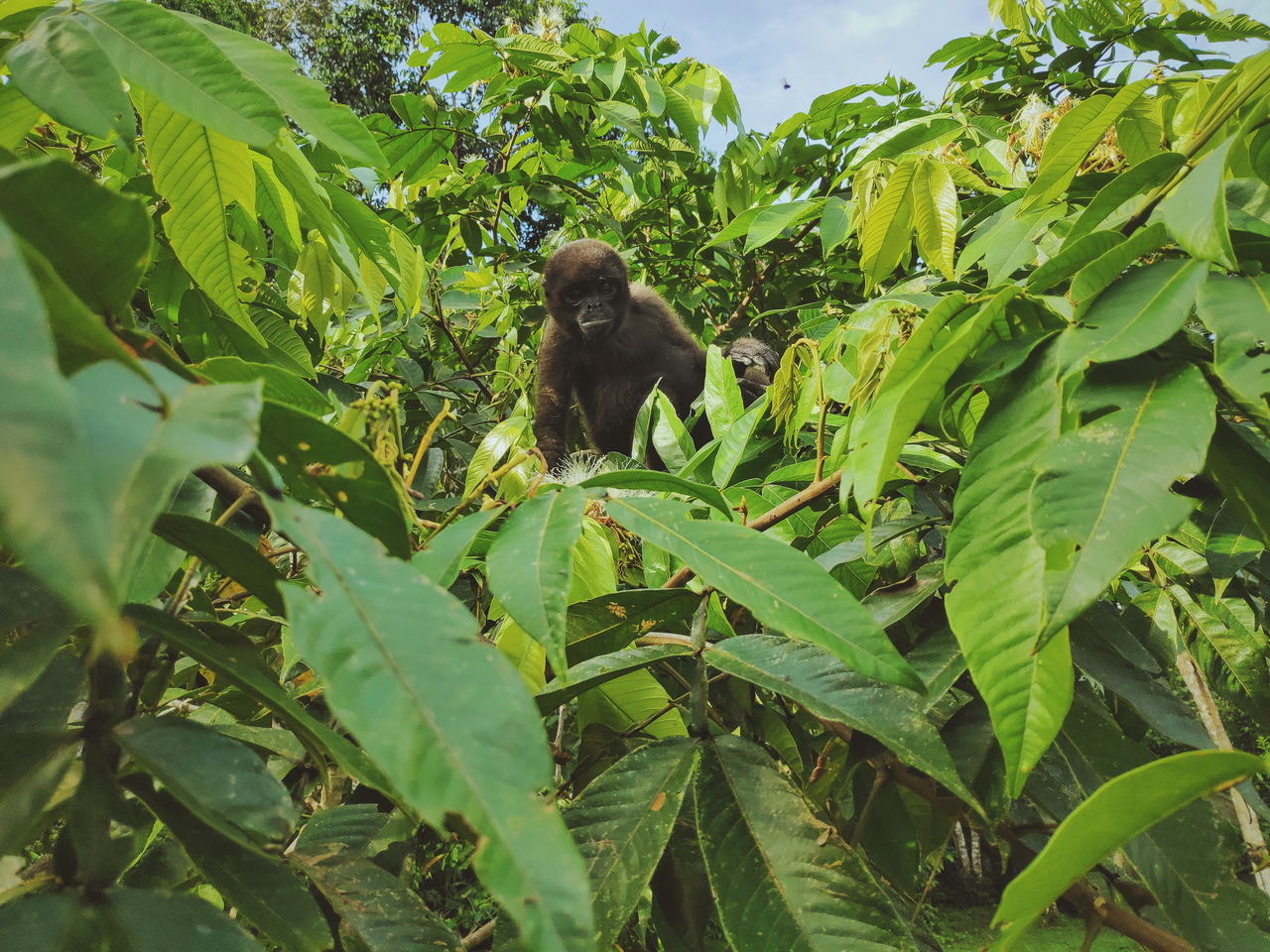 Hello, I'm Camille :)