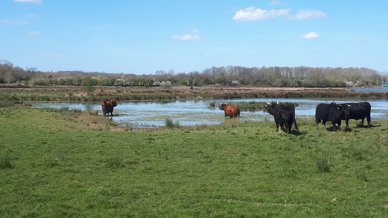 Hello everyone, I'm Paul