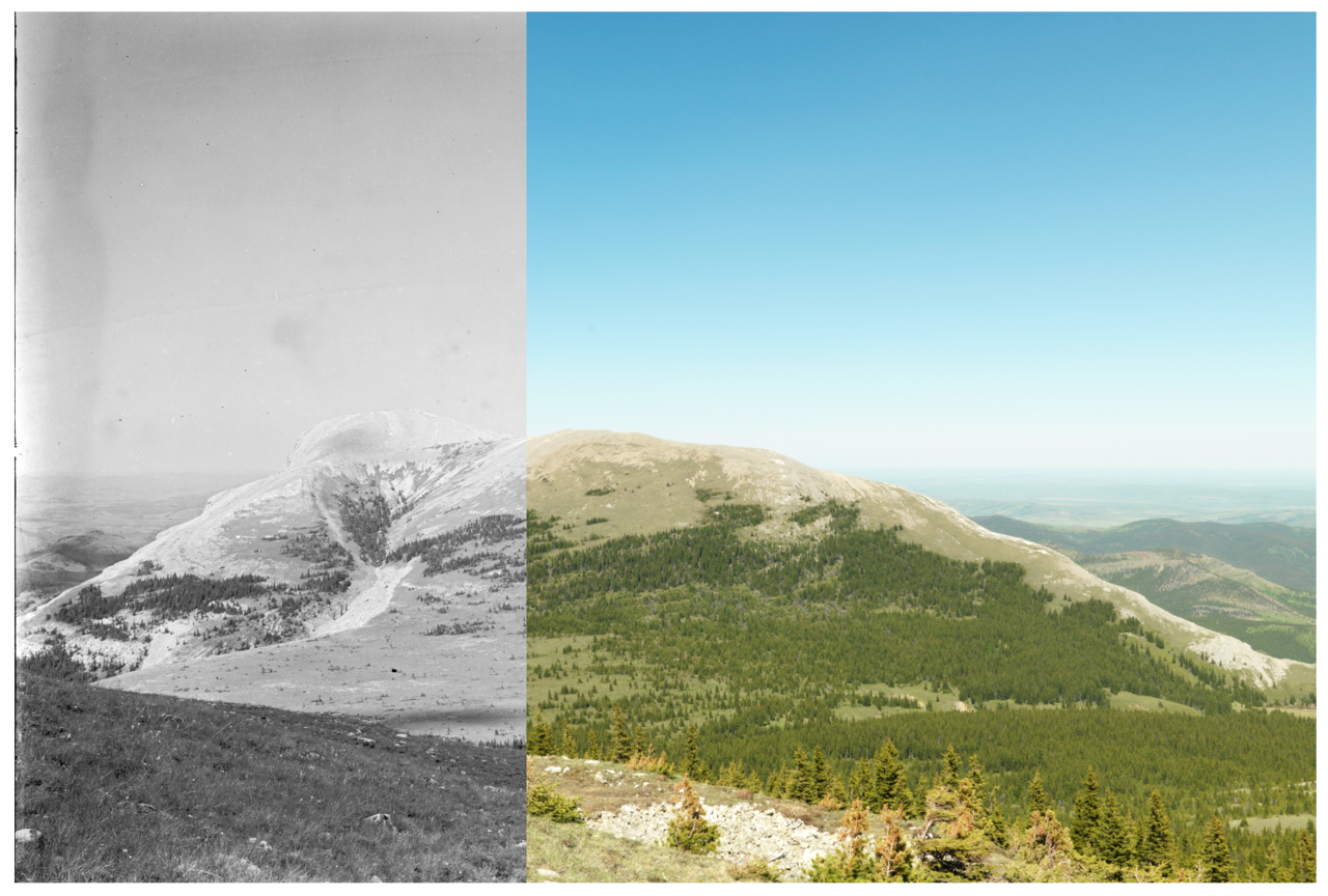 Raising a glass to my long-dead collaborators!