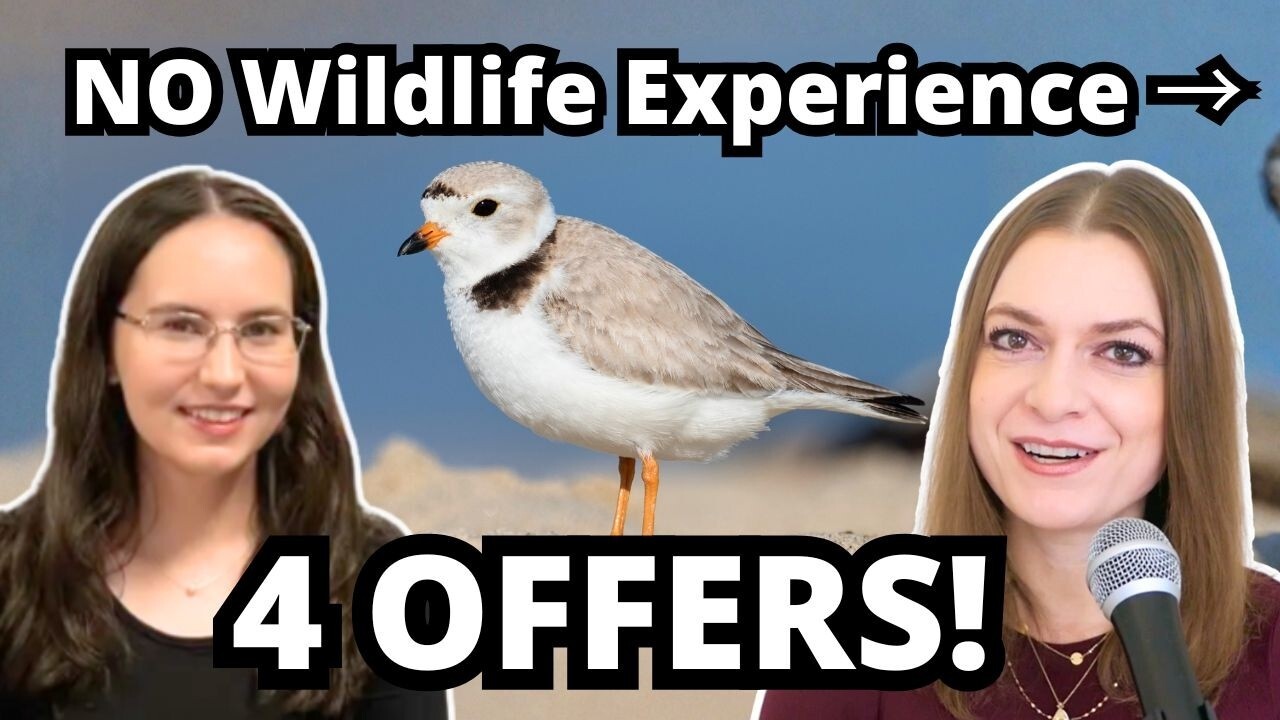 No Experience, No Problem! Building a Wildlife Career from Scratch: Interview with Christina Weber