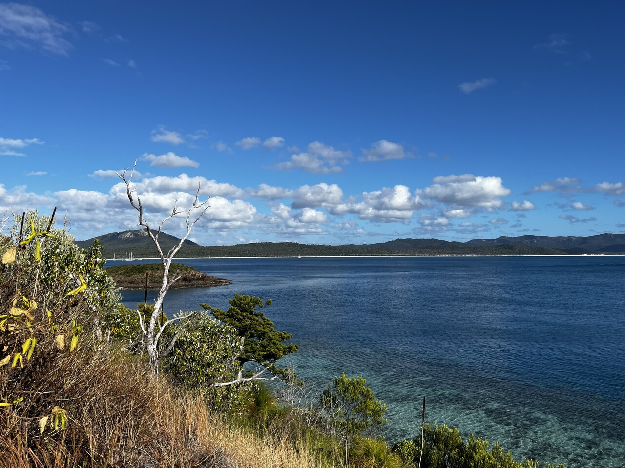 Grieving with Nature: From Carbon Violence to Hopeful Justice