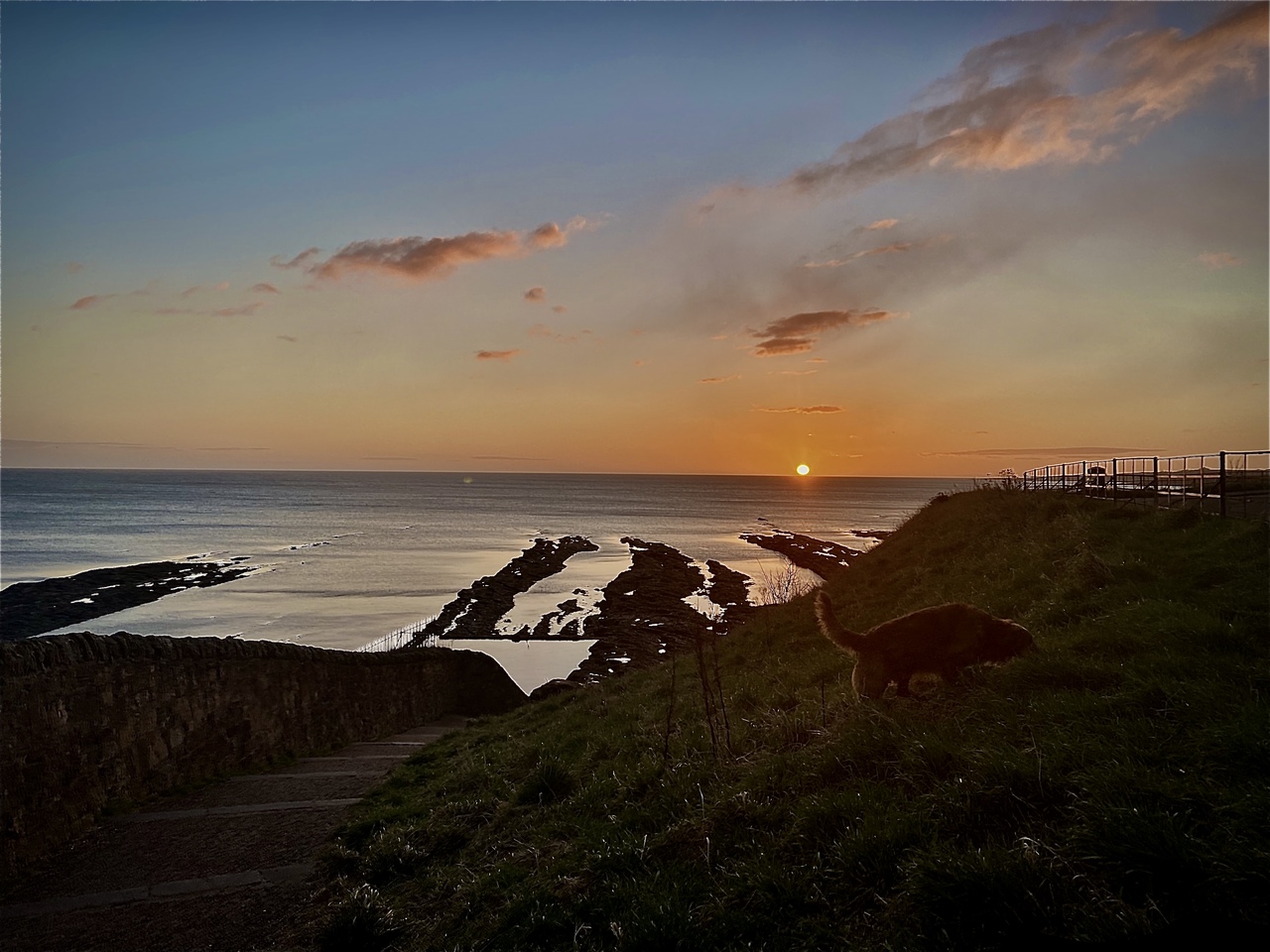 From my forest dark to rebeholding the stars: a self-discovery journey in the Laidlaw Programme