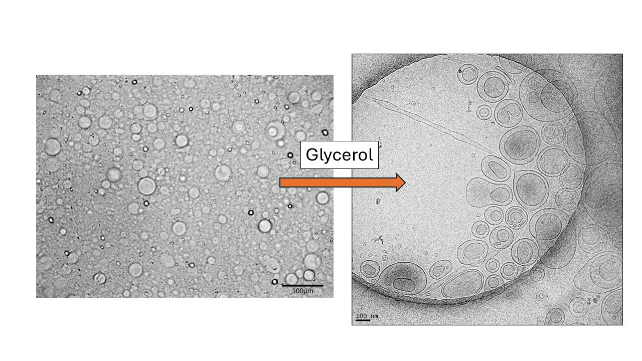 Spontaneous liposome formation without high pressure homogenization