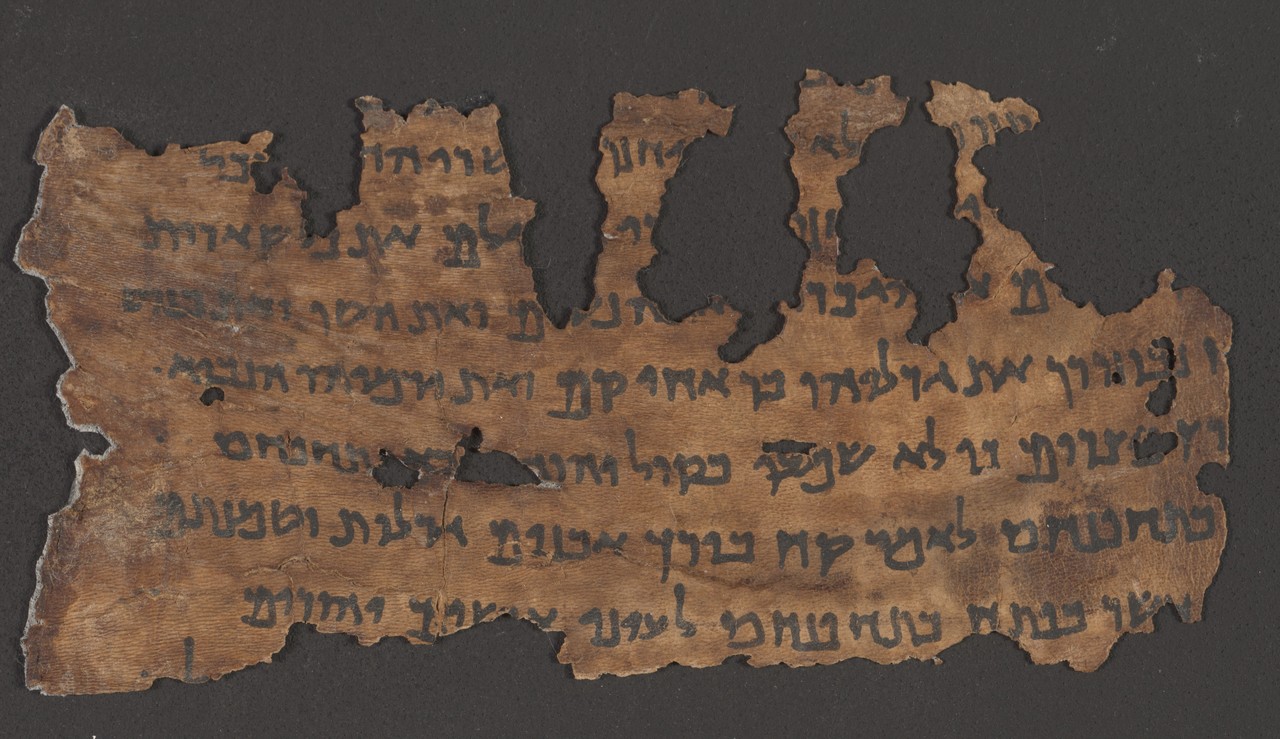 Using genetics to reveal the secrets of the Dead Sea Scrolls
