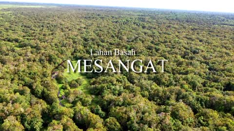 Mesangat Wetland & Crocodile Conservation
