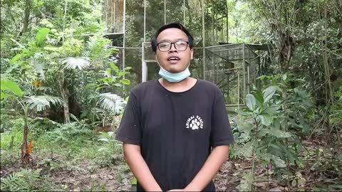 Can we track the survival of released raptors through a low-cost, mobile-based GPS logger?