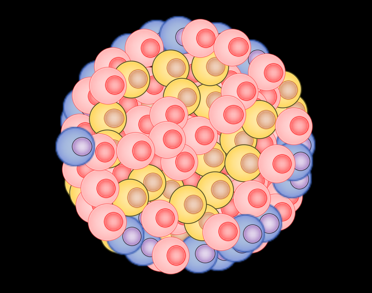 Functional Heterogeneity as an intrinsic property that sets a survival strategy in breast cancer.