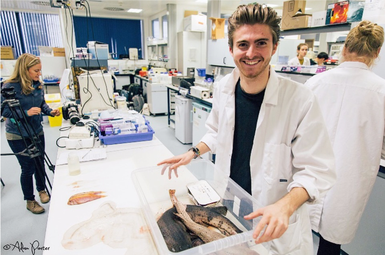 Not even UK sharks are safe from the scourge of microplastic pollution.