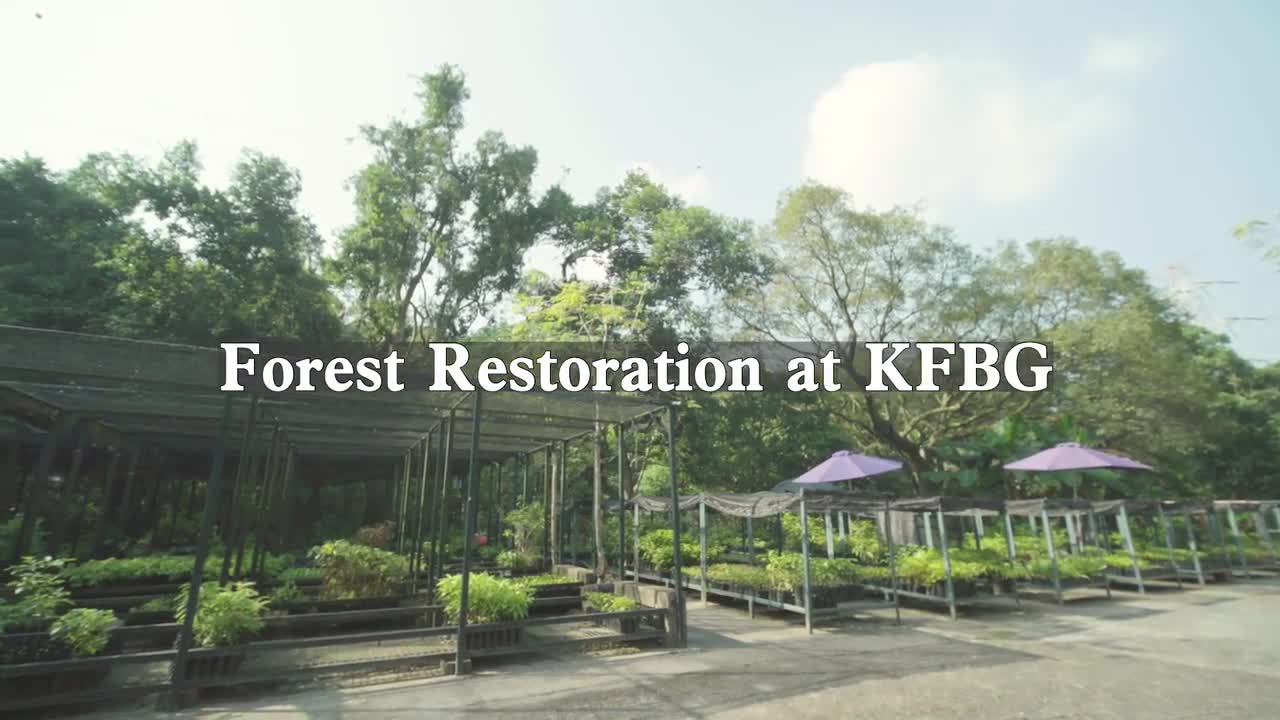 Ecological Restoration in Hong Kong