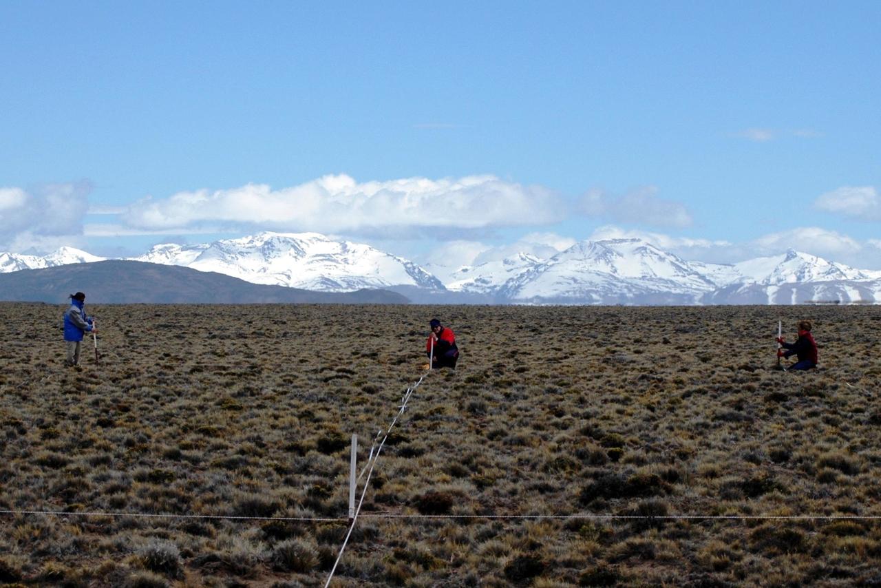 Monitoring arid and semiarid rangelands of South America: the MARAS database.