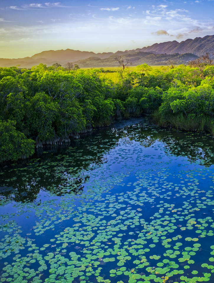 My Neighbor, the Ocean