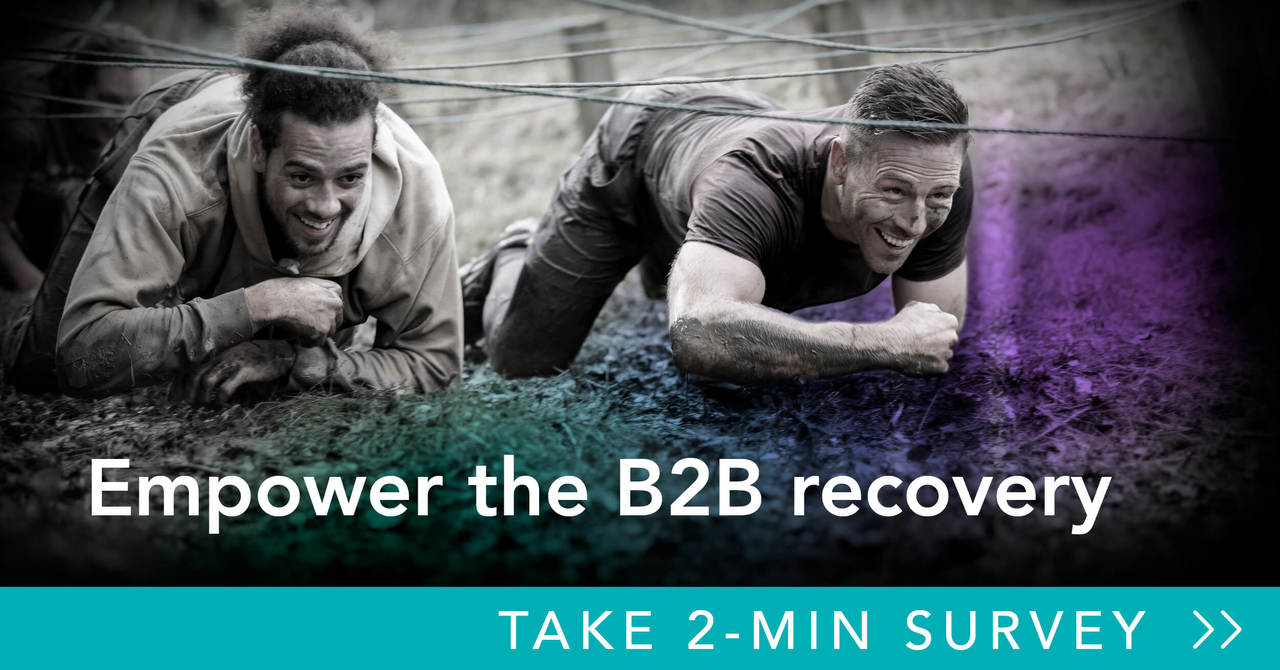 Future of B2B Marketing Survey  