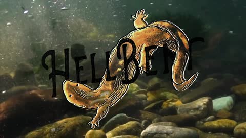Hellbent the film - trailer