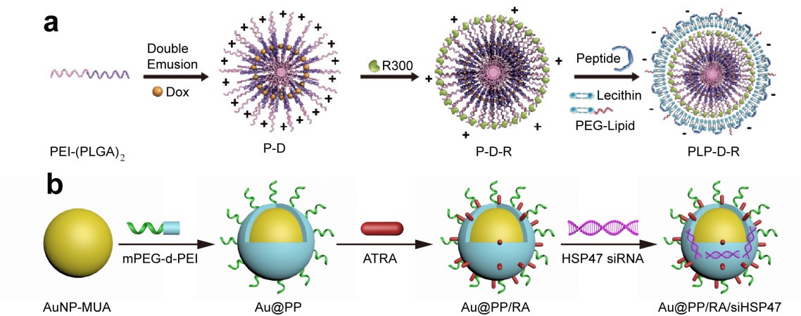 Making Tumors More Accessible