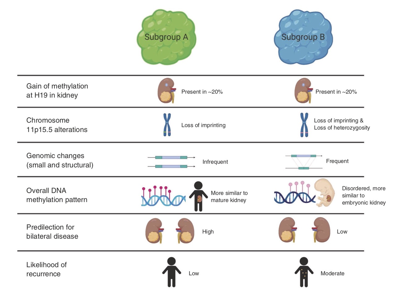 One more step in understanding a rare cancer.