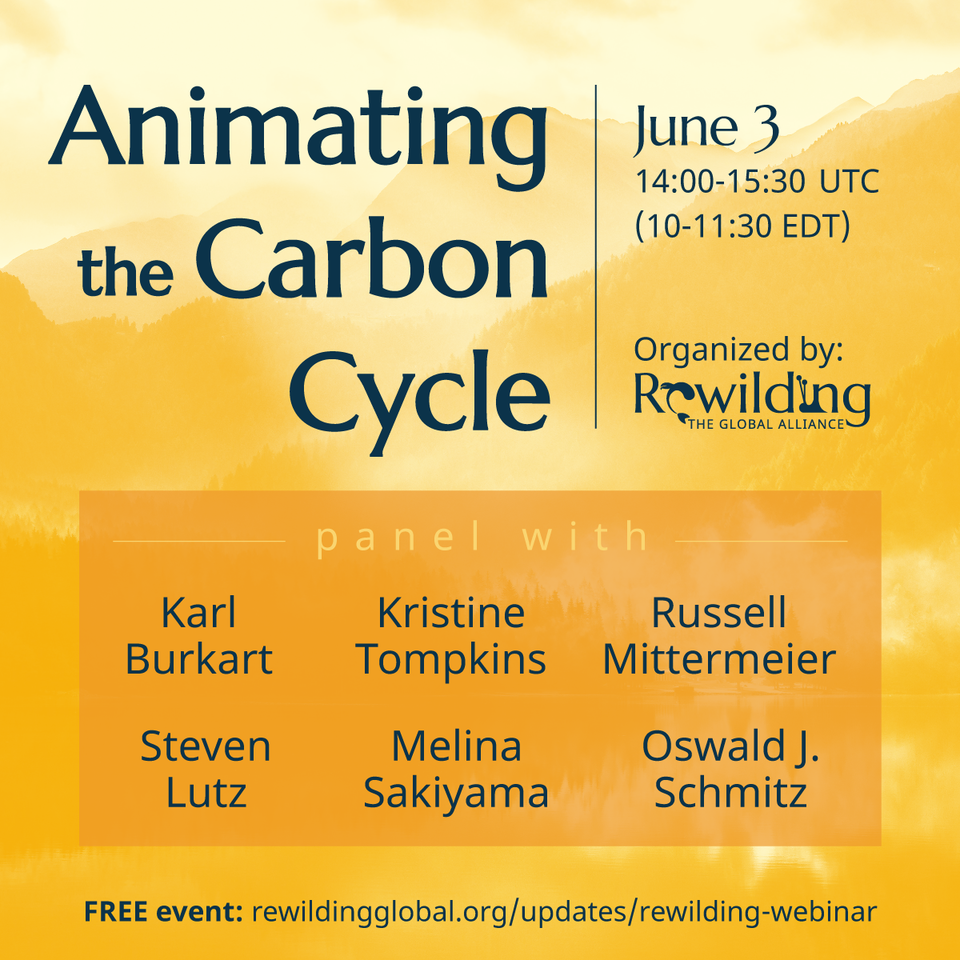 Event: Animating the Carbon Cycle June 3rd