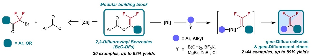 2,2-difluorovinyl benzoates for diverse synthesis of gem-difluoroenol ethers by Ni-catalyzed crosscoupling reactions