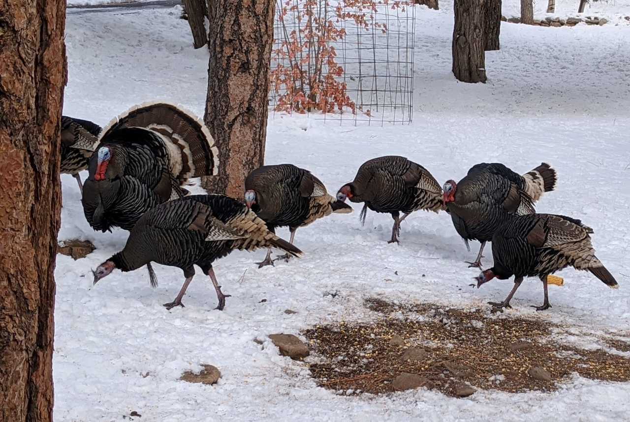 Who should I listen to?