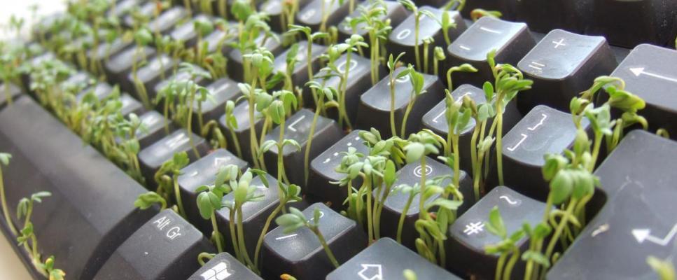 Resources to learn to code (R)