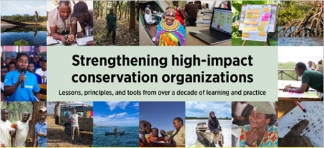 Join the Webinar: Strengthening high-impact conservation organizations