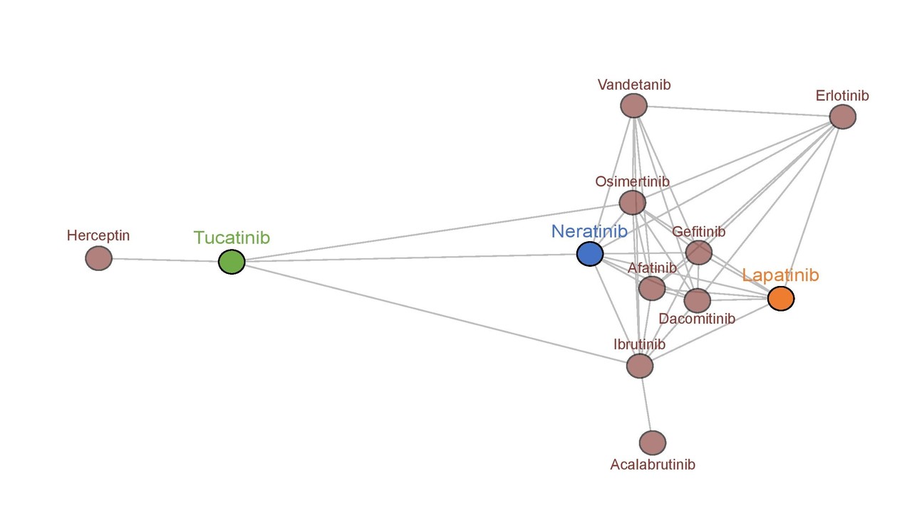 Differentiating HER2-targeted tyrosine kinase inhibitors