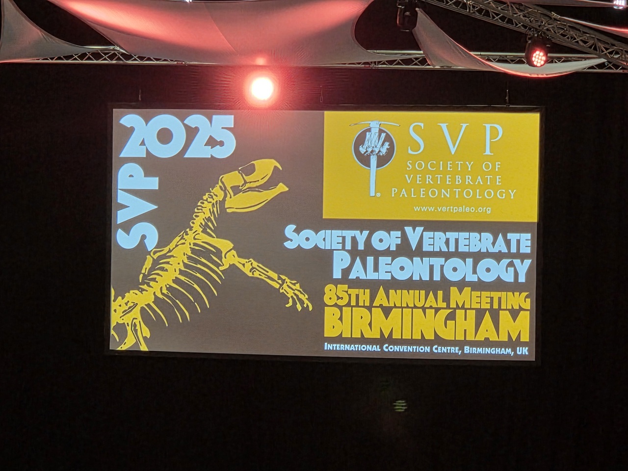 Highlights from the 2025 Society of Vertebrate Paleontology Annual Meeting