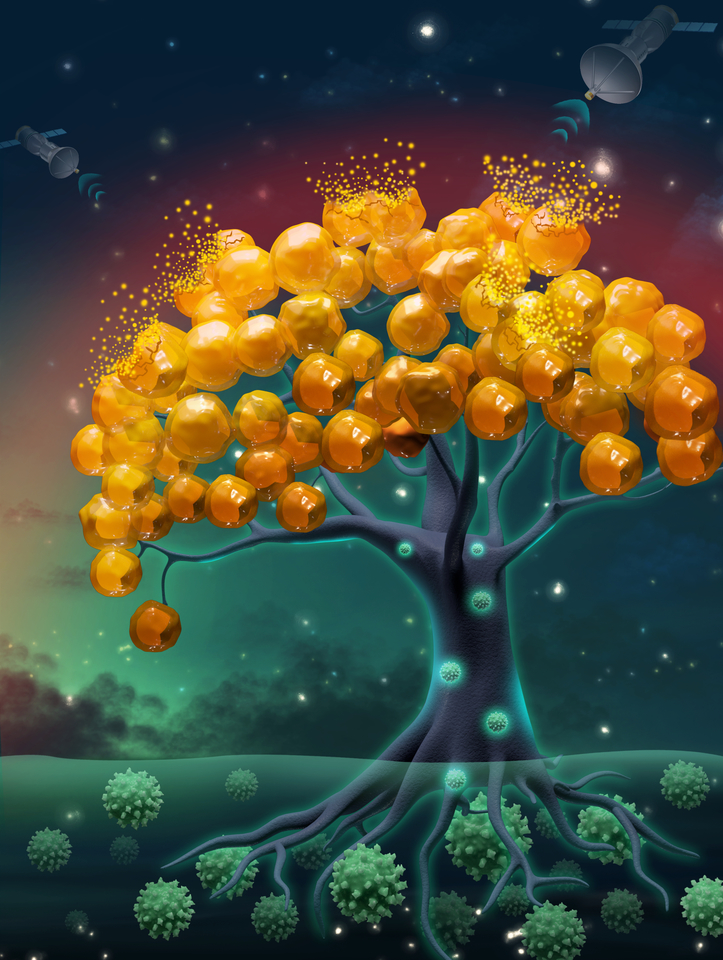 A therapeutic strategy to combat obesity: photoacoustic imaging-escorted adipose photodynamic-browning with targeted virus-like complexes