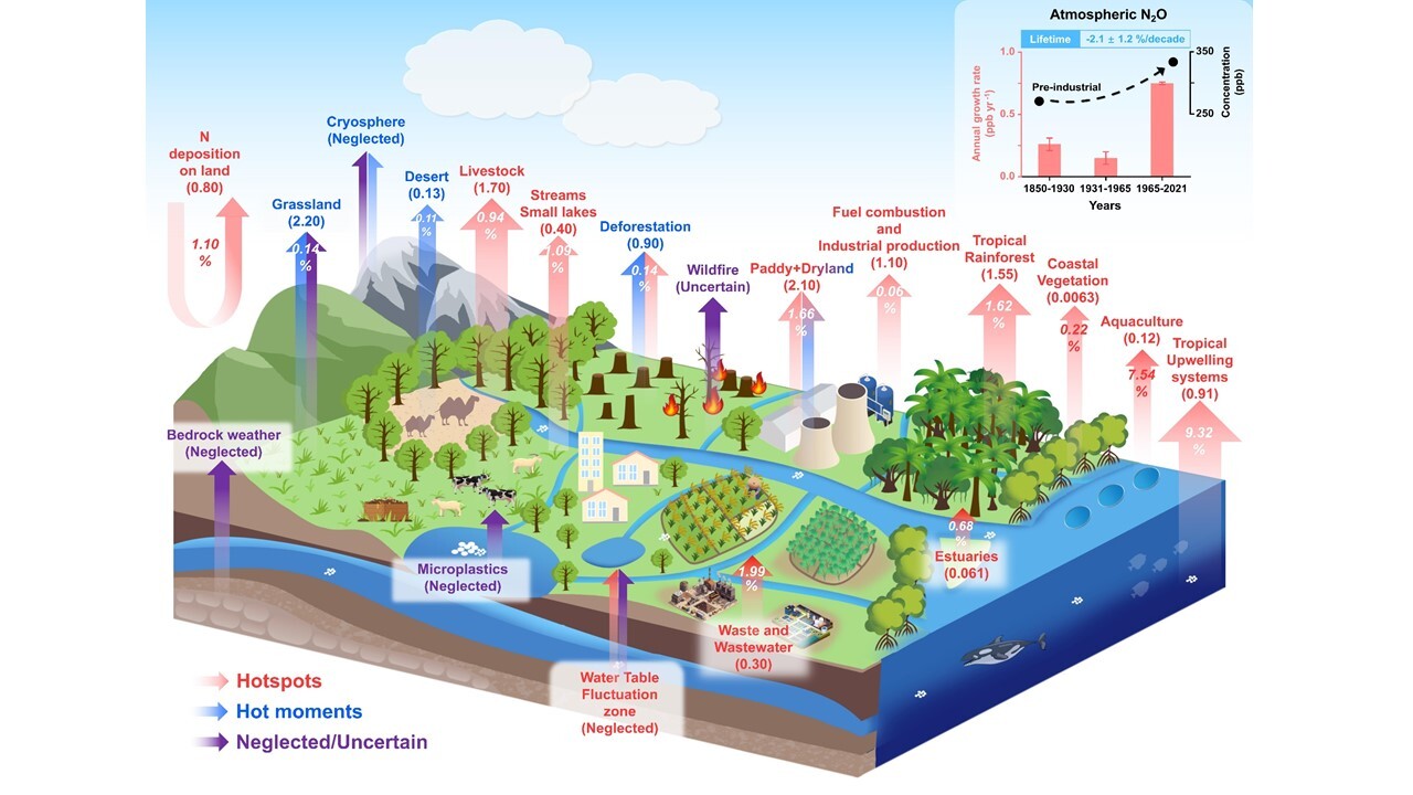 Nitrous oxide sources, mechanisms and mitigation