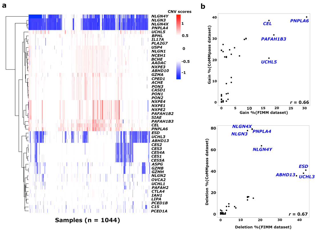 Esterase enzymes in multiple myeloma: enablers of effective treatments, biomarkers of progression, or both?