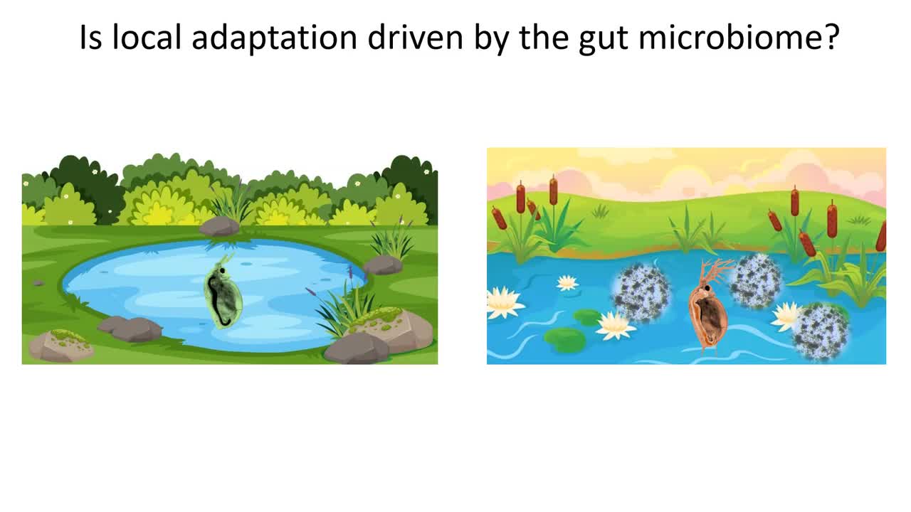 It’s better to swim in your own microbiome
