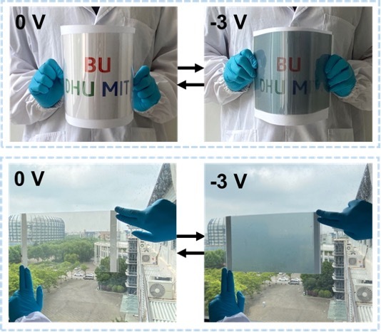 2D TMO/MXene Heterostructure Enables Flexible High-Performance Electrochromic Devices