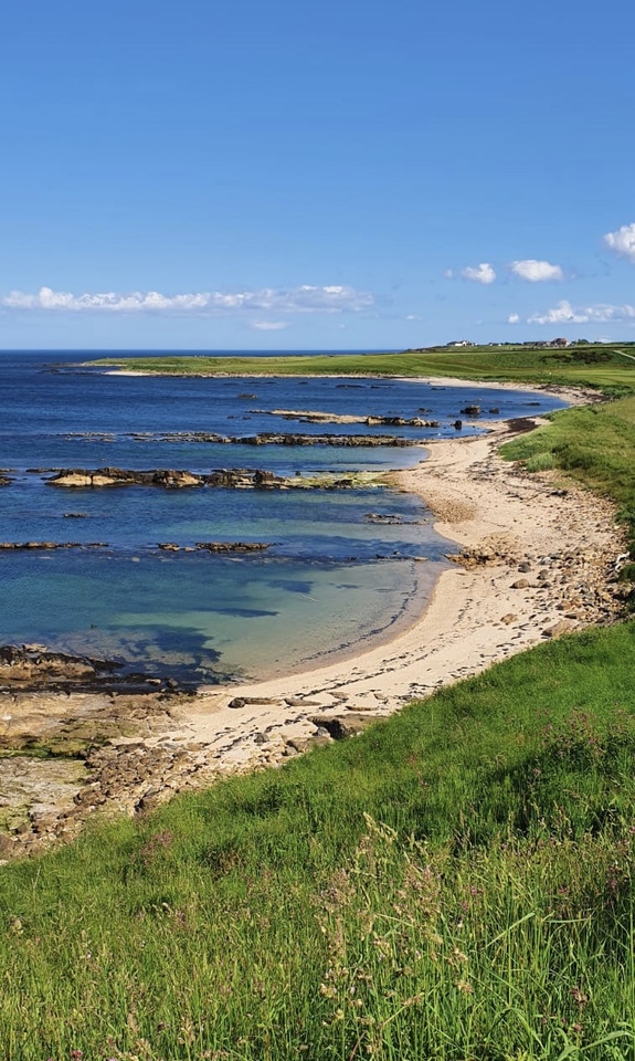 Networking Necessities 