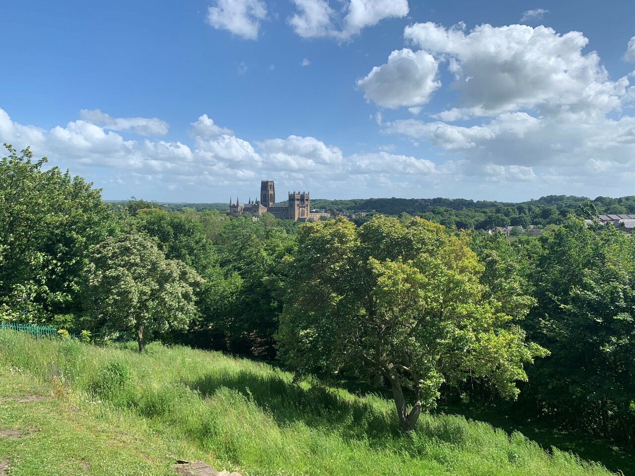 Summer One, Summer Two and everything in between: What I’ve learnt from my time as a Laidlaw Scholar