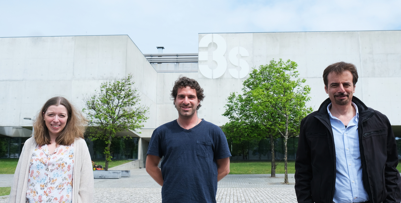 Unraveling the glycan-mediated molecular resistance to trastuzumab in ErbB2-dependent gastric cancer