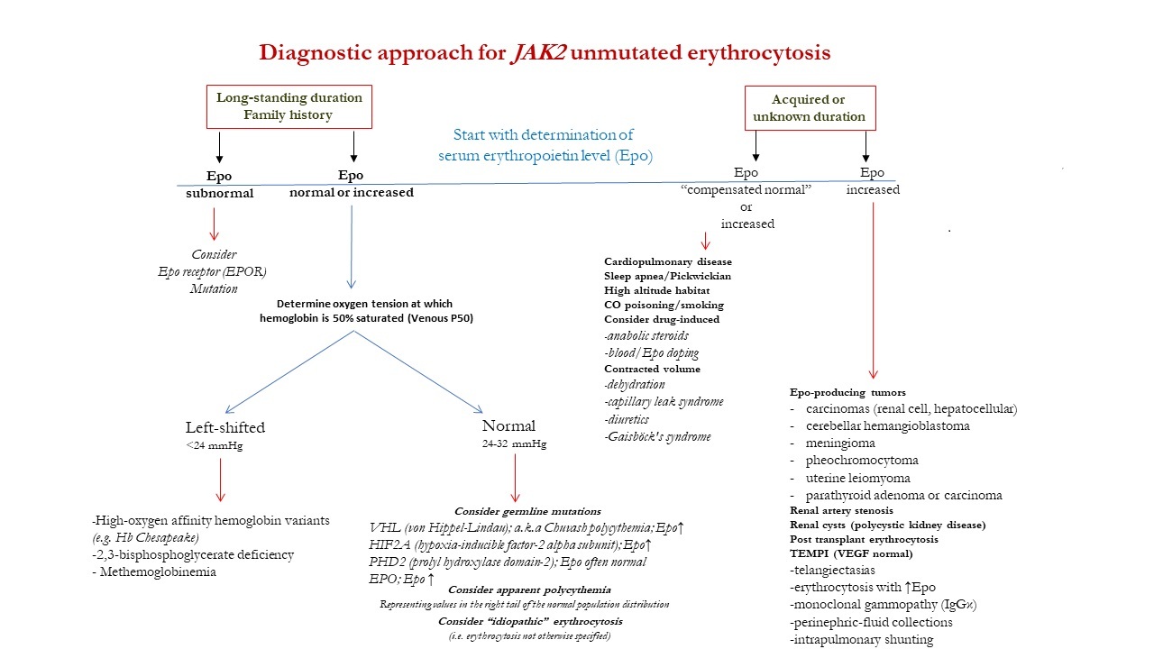 The Chronicles of Erythrocytosis