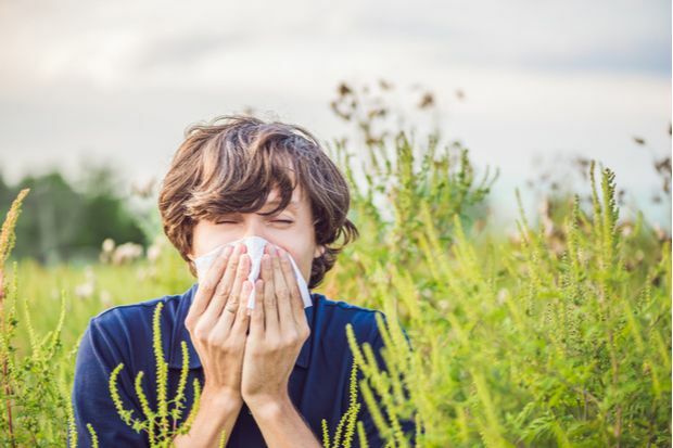 Managing allergy during the COVID-19 pandemic