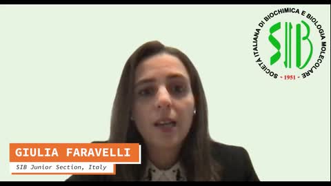 SIB Sezione Giovani overview video