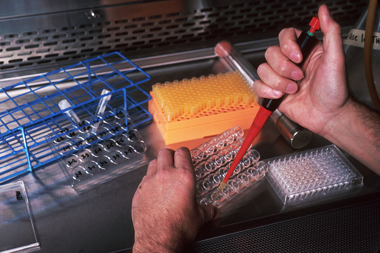 Editor’s Choice – Highlighted Articles of the year