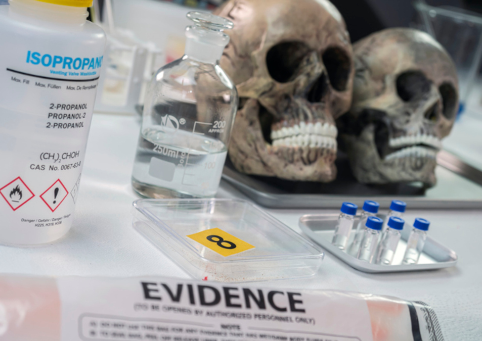 Your space to connect: The Forensic dentistry Hub 