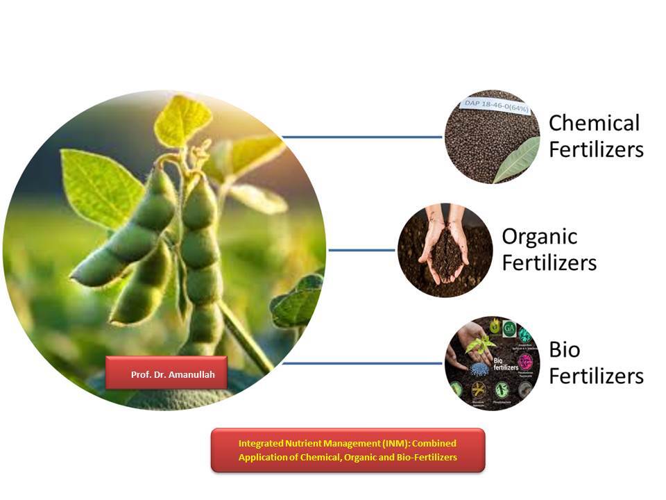 Improving soybean yield and oil productivity: an integrated nutrient management approach for sustainable soybean production