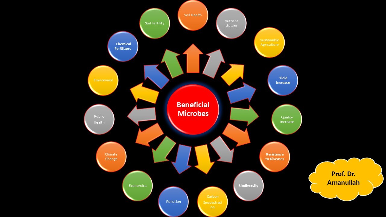 Sustainable Agriculture through Beneficial Microbes: A Key to Crop Growth and Food Security