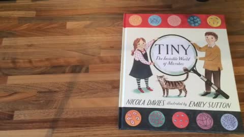 Tiny Review