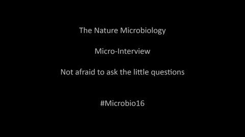 Micro-Interview #1