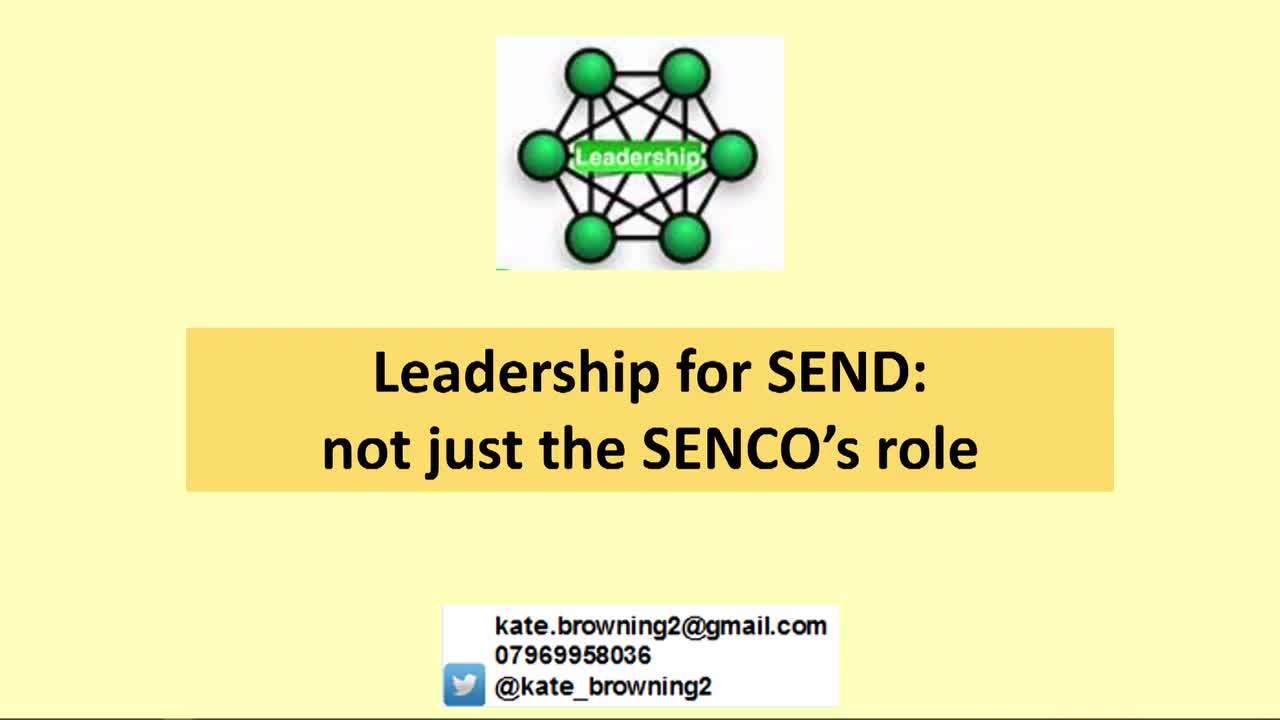 Leadership for SEND - not just the SENCo's role 