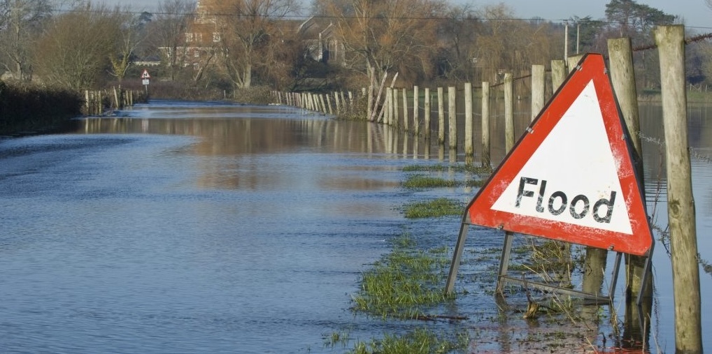 Boosting climate motivation with psychological interventions